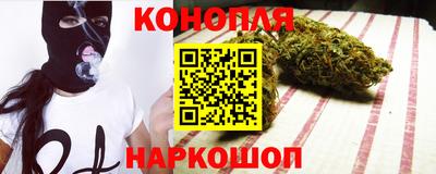 крисы Краснознаменск