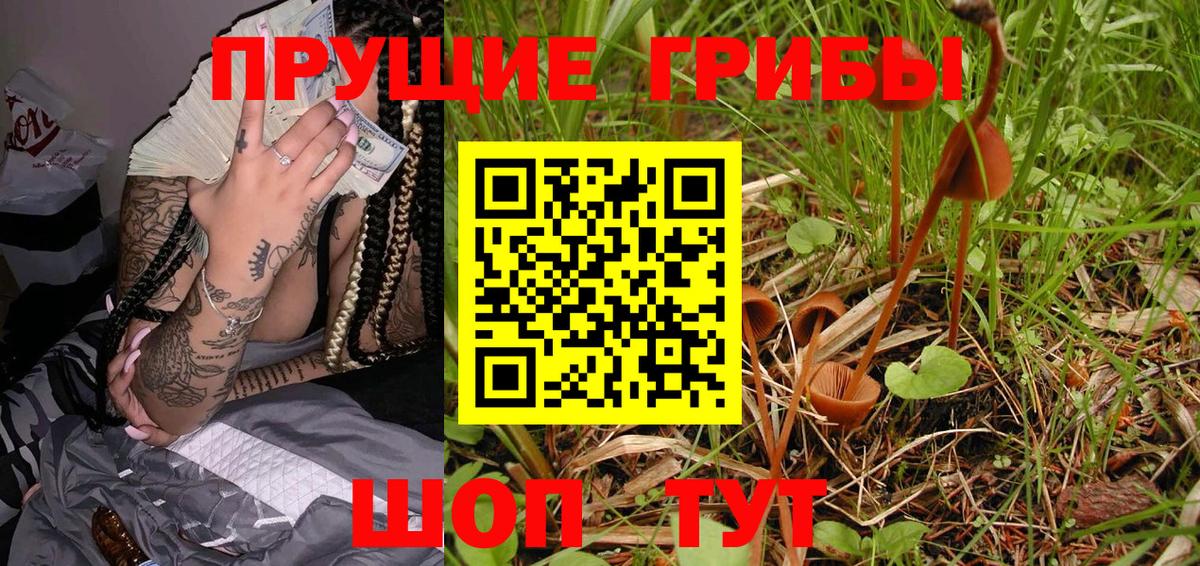 как найти   Галлюциногенные грибы мицелий  Вход с VPN  Ишим 