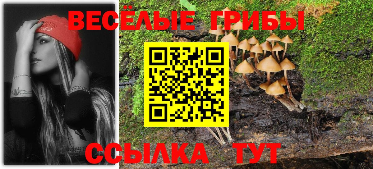 Галлюциногенные грибы мухоморы Ишим